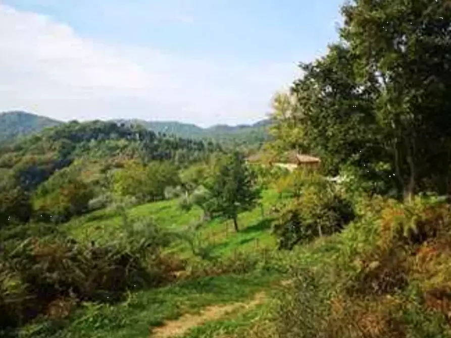 terreno agricolo in vendita a Barberino di Mugello