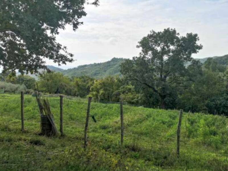 terreno agricolo in vendita a Barberino di Mugello