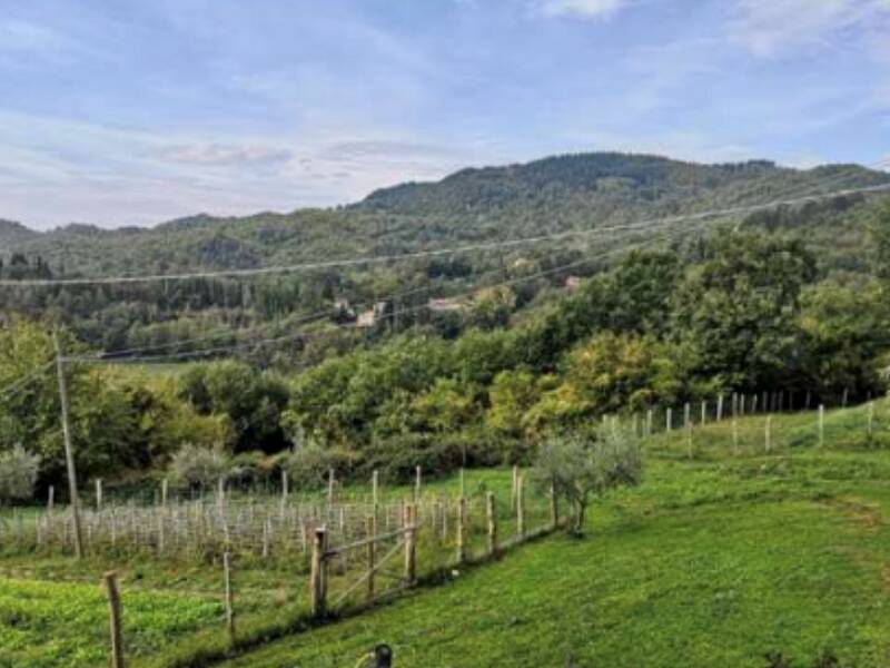 terreno agricolo in vendita a Barberino di Mugello