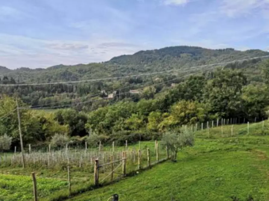 terreno agricolo in vendita a Barberino di Mugello