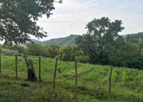 terreno agricolo in vendita a Barberino di Mugello