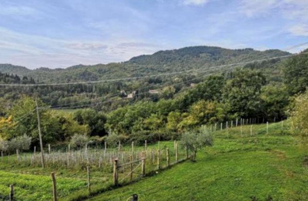 terreno agricolo in vendita a Barberino di Mugello