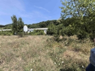 azienda agricola in vendita a Barberino di Mugello in zona Montecarelli.