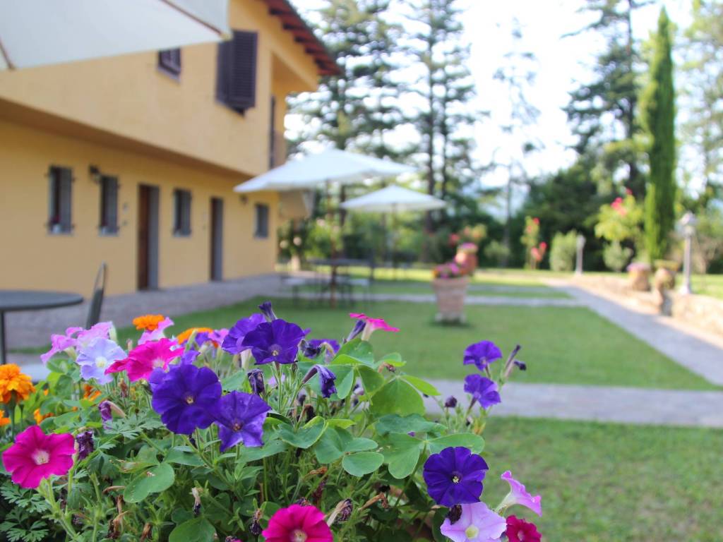 casa indipendente in vendita a Barberino di Mugello
