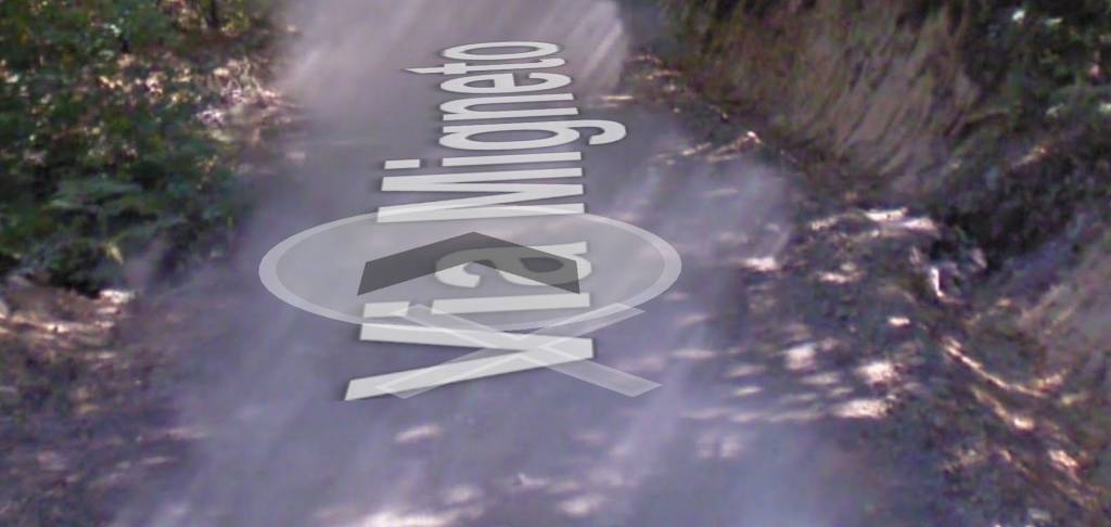 terreno agricolo in vendita a Barberino di Mugello in zona Montecarelli.