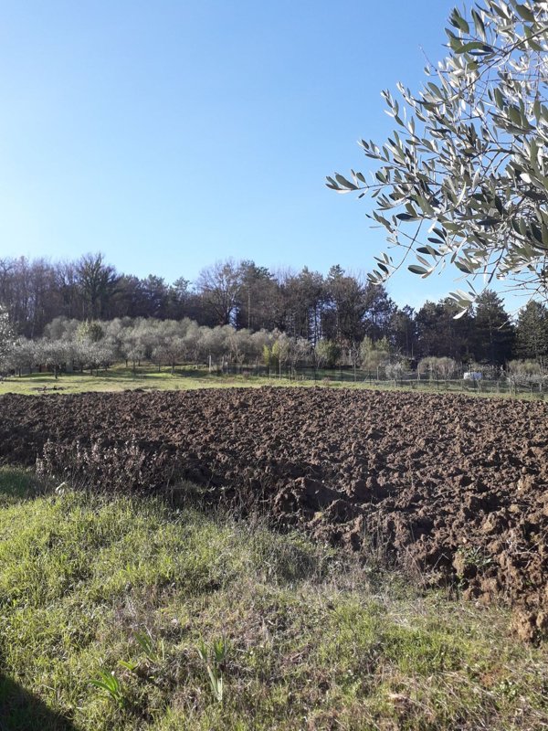 terreno agricolo in vendita a Barberino di Mugello