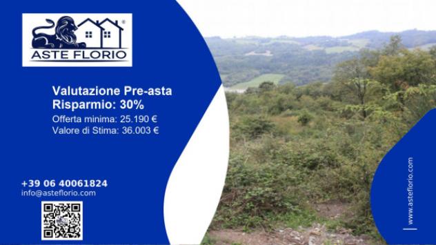 terreno agricolo in vendita a Barberino di Mugello