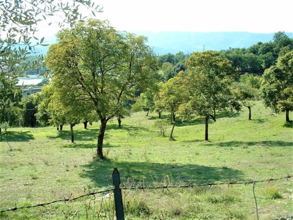 terreno agricolo in vendita a Barberino di Mugello