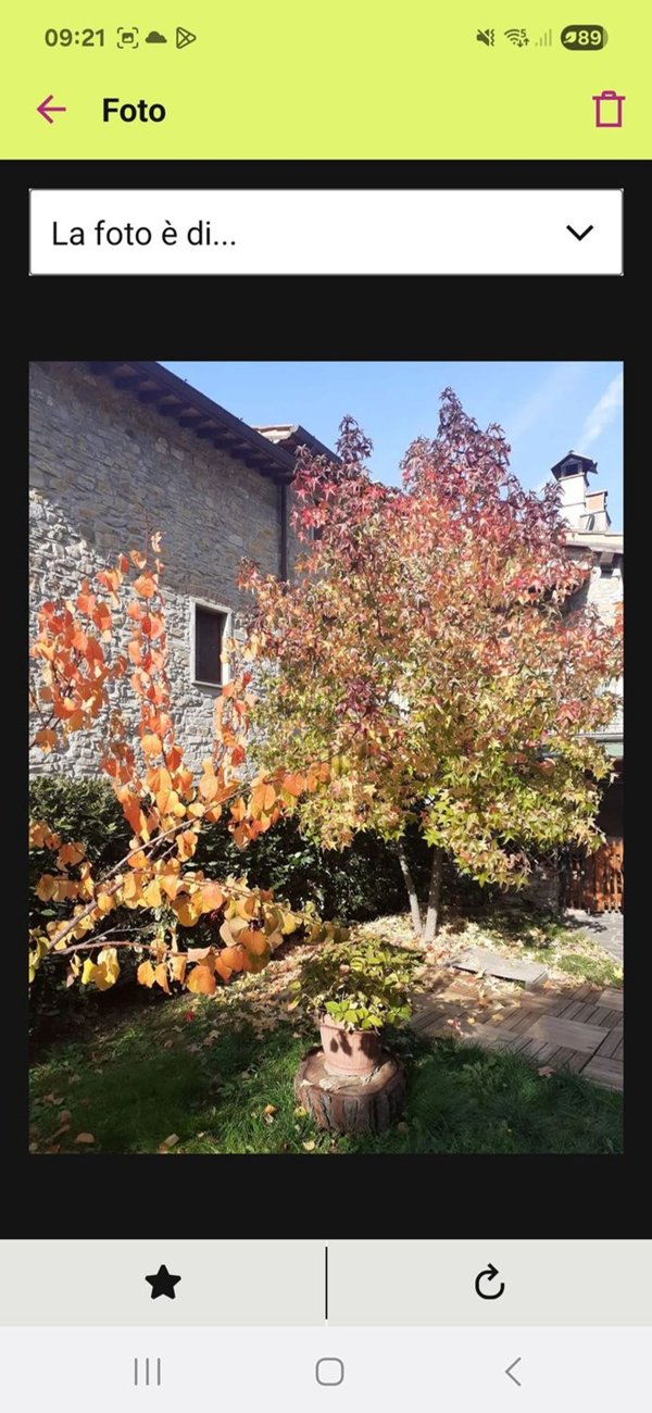 appartamento in vendita a Barberino di Mugello in zona Montecarelli.