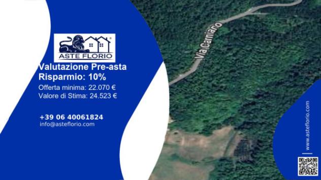 terreno agricolo in vendita a Barberino di Mugello