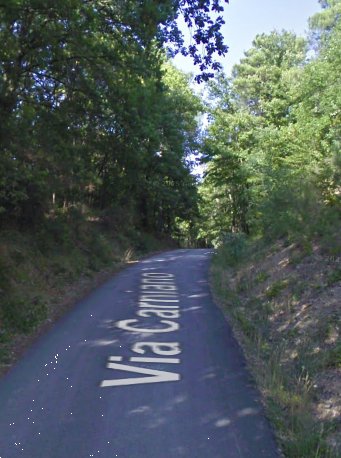 terreno agricolo in vendita a Barberino di Mugello