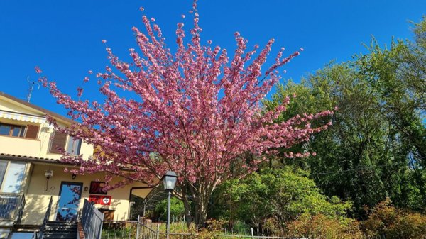 casa indipendente in vendita a Barberino di Mugello