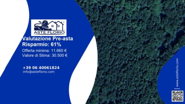 terreno agricolo in vendita a Barberino di Mugello