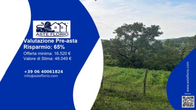 terreno agricolo in vendita a Barberino di Mugello