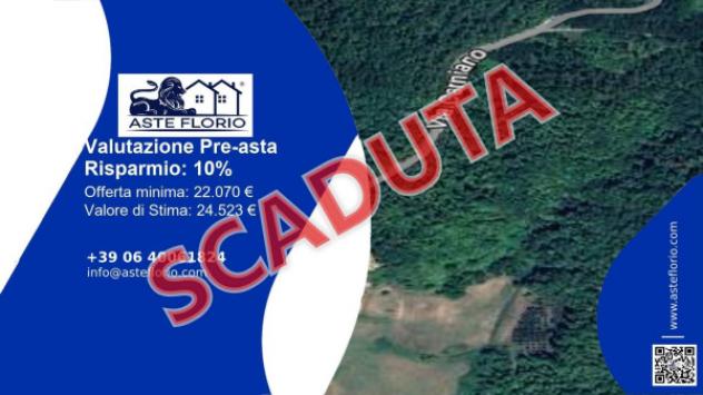 immagine annuncio 0 di 1