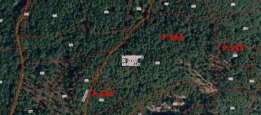 terreno agricolo in vendita a Barberino di Mugello