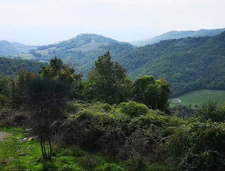 terreno agricolo in vendita a Barberino di Mugello