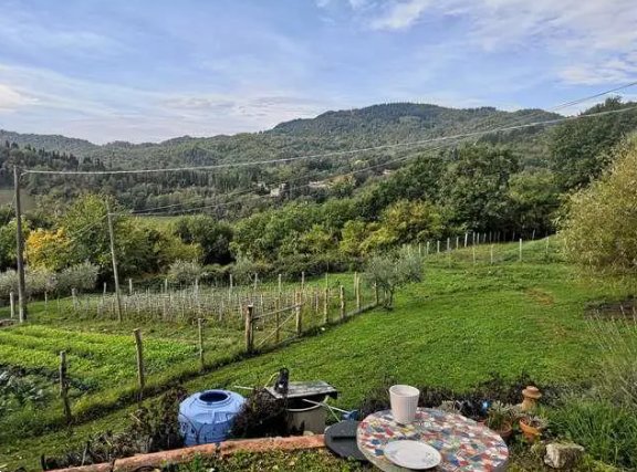 terreno agricolo in vendita a Barberino di Mugello