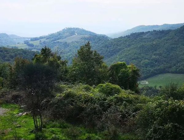 terreno agricolo in vendita a Barberino di Mugello