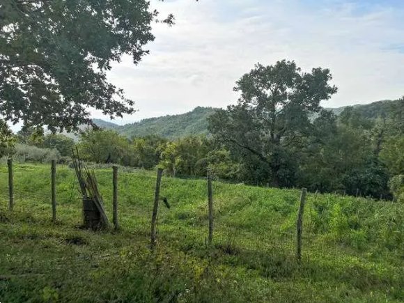 terreno agricolo in vendita a Barberino di Mugello