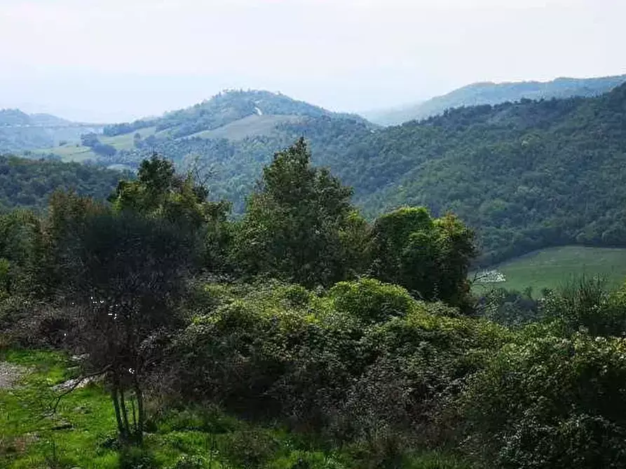 terreno agricolo in vendita a Barberino di Mugello