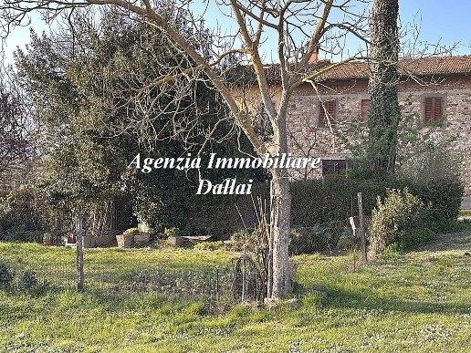 esavano in vendita a Barberino di Mugello in zona Galliano