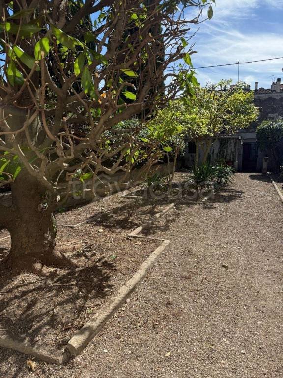 casa indipendente in vendita a Barberino di Mugello