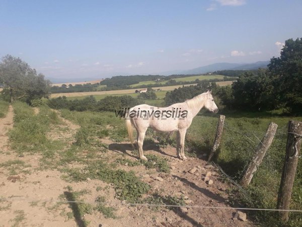azienda agricola in vendita a Barberino di Mugello