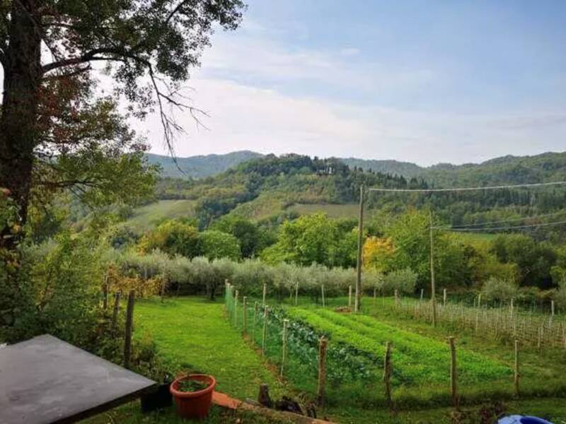 terreno agricolo in vendita a Barberino di Mugello