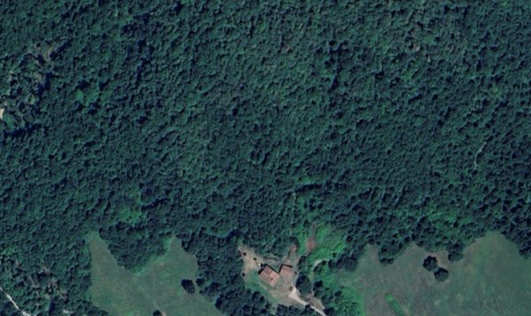 terreno agricolo in vendita a Barberino di Mugello