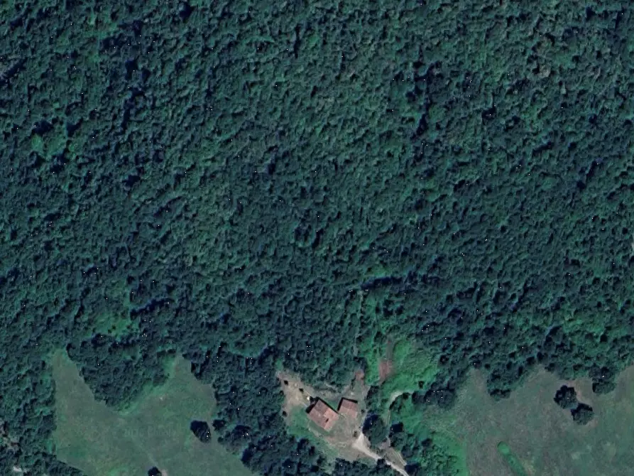 terreno agricolo in vendita a Barberino di Mugello