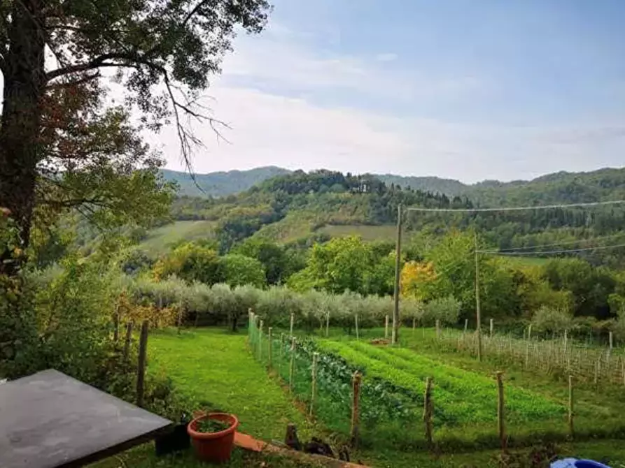 terreno agricolo in vendita a Barberino di Mugello