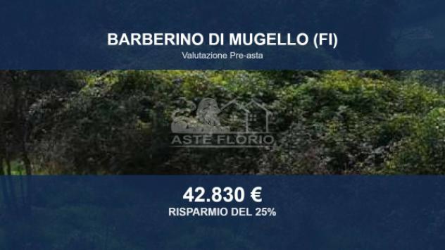 terreno agricolo in vendita a Barberino di Mugello