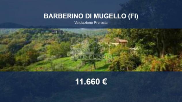 terreno agricolo in vendita a Barberino di Mugello