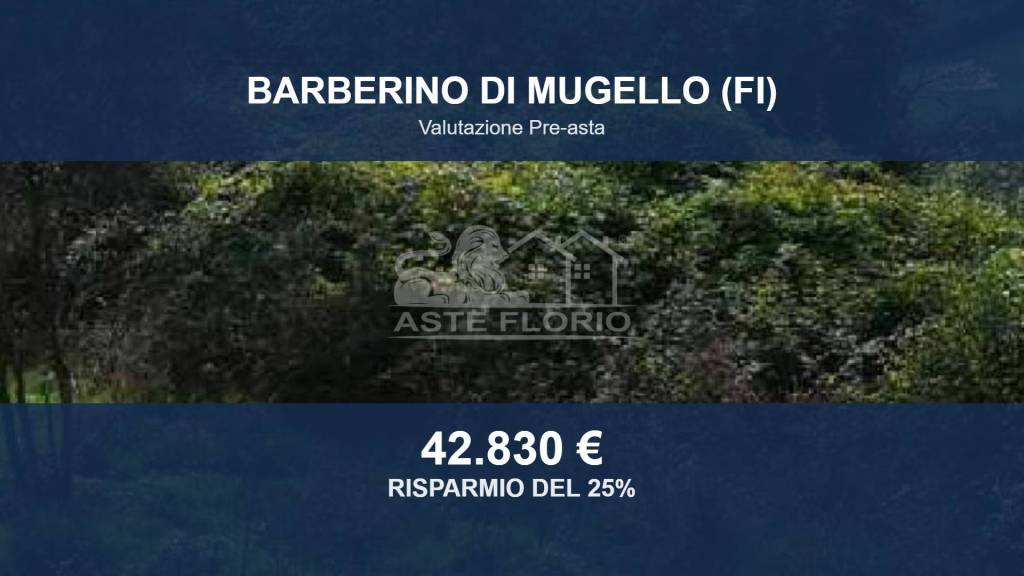 terreno agricolo in vendita a Barberino di Mugello