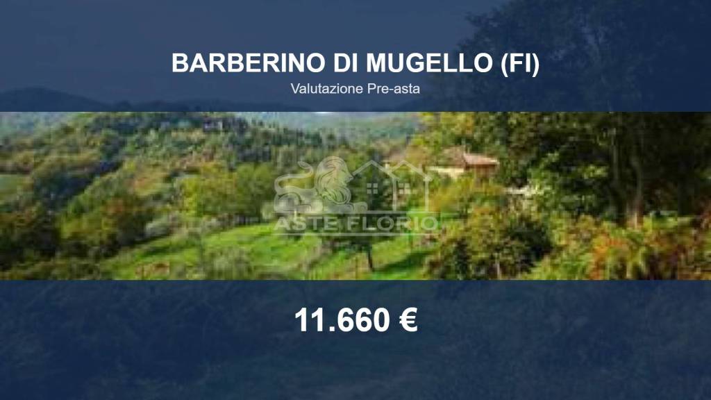 terreno agricolo in vendita a Barberino di Mugello