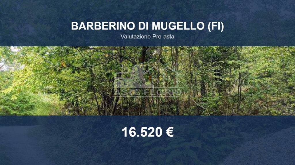 terreno agricolo in vendita a Barberino di Mugello