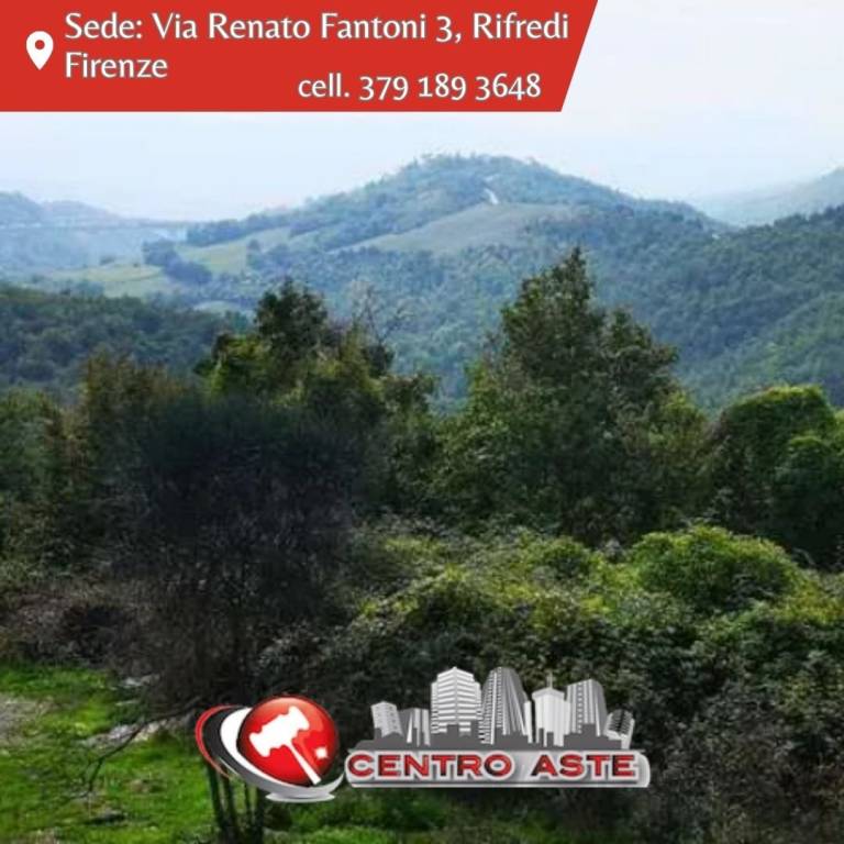 casa indipendente in vendita a Barberino di Mugello in zona Galliano
