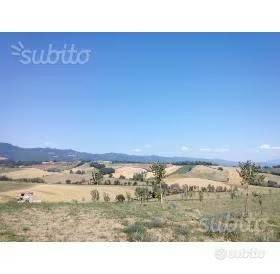terreno agricolo in vendita a Barberino di Mugello in zona Galliano