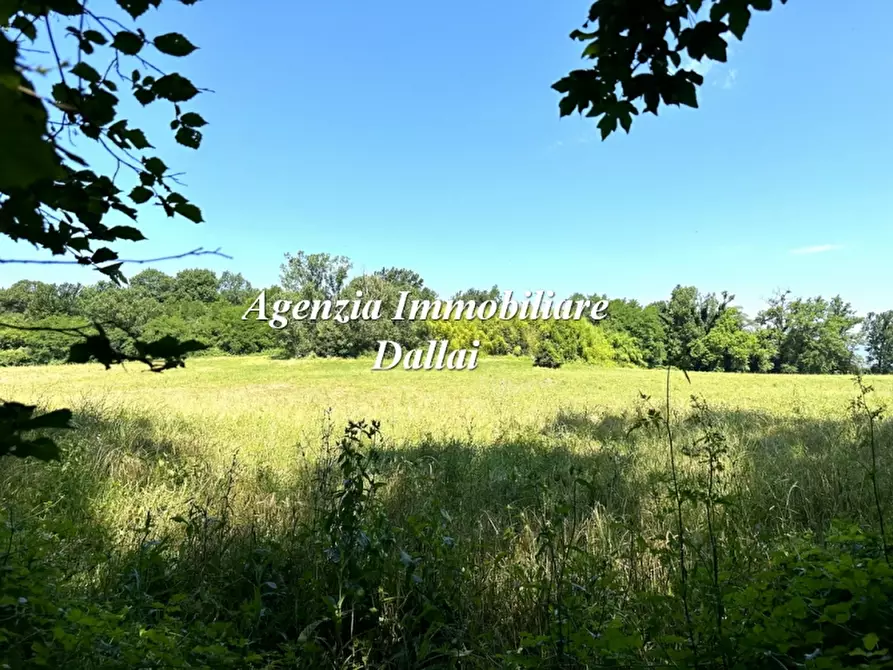 azienda agricola in vendita a Borgo San Lorenzo in zona Sagginale