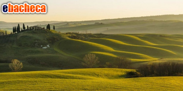 appartamento in vendita a Borgo San Lorenzo