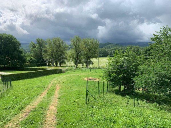 terreno agricolo in vendita a Borgo San Lorenzo in zona Rabatta