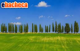 appartamento in vendita a Borgo San Lorenzo