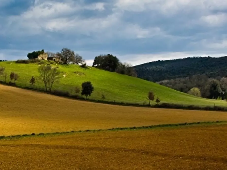 casa indipendente in vendita a Borgo San Lorenzo
