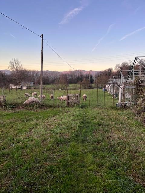 appartamento in vendita a Borgo San Lorenzo