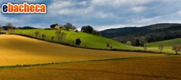 appartamento in vendita a Borgo San Lorenzo