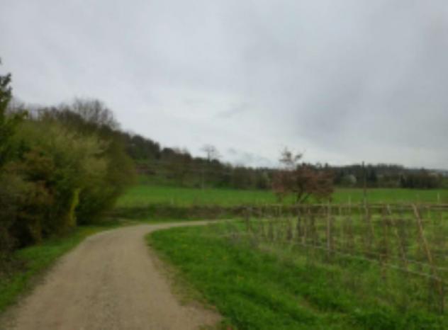 terreno agricolo in vendita a Borgo San Lorenzo in zona Luco di Mugello