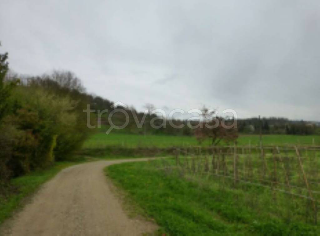 terreno agricolo in vendita a Borgo San Lorenzo in zona Luco di Mugello