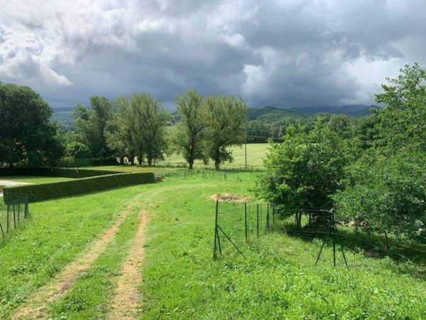terreno agricolo in vendita a Borgo San Lorenzo in zona Rabatta