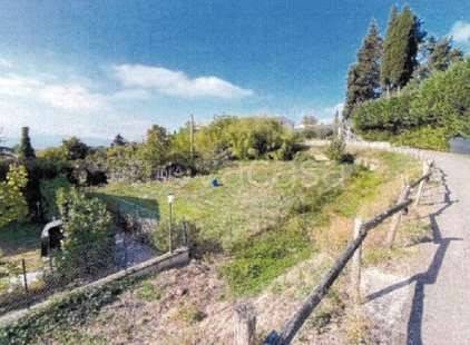 terreno agricolo in vendita a Borgo San Lorenzo in zona Polcanto